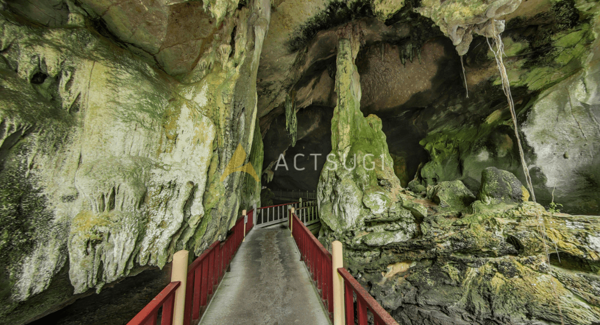 langkawi-things-to-do-actsugi-bat-cave.png
